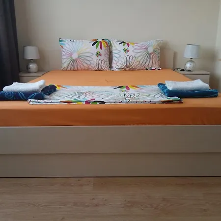 Homestay South View *